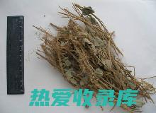 的功能与主治