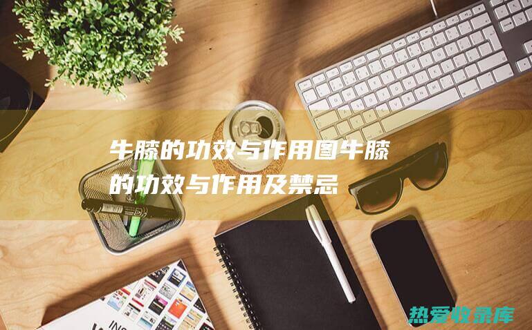 牛膝的功效与作用图牛膝的功效与作用及禁忌