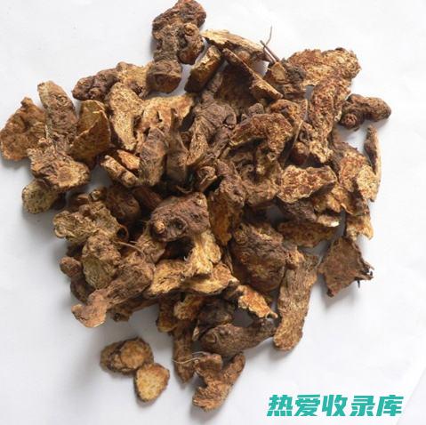 苍术泡水喝的正确方法