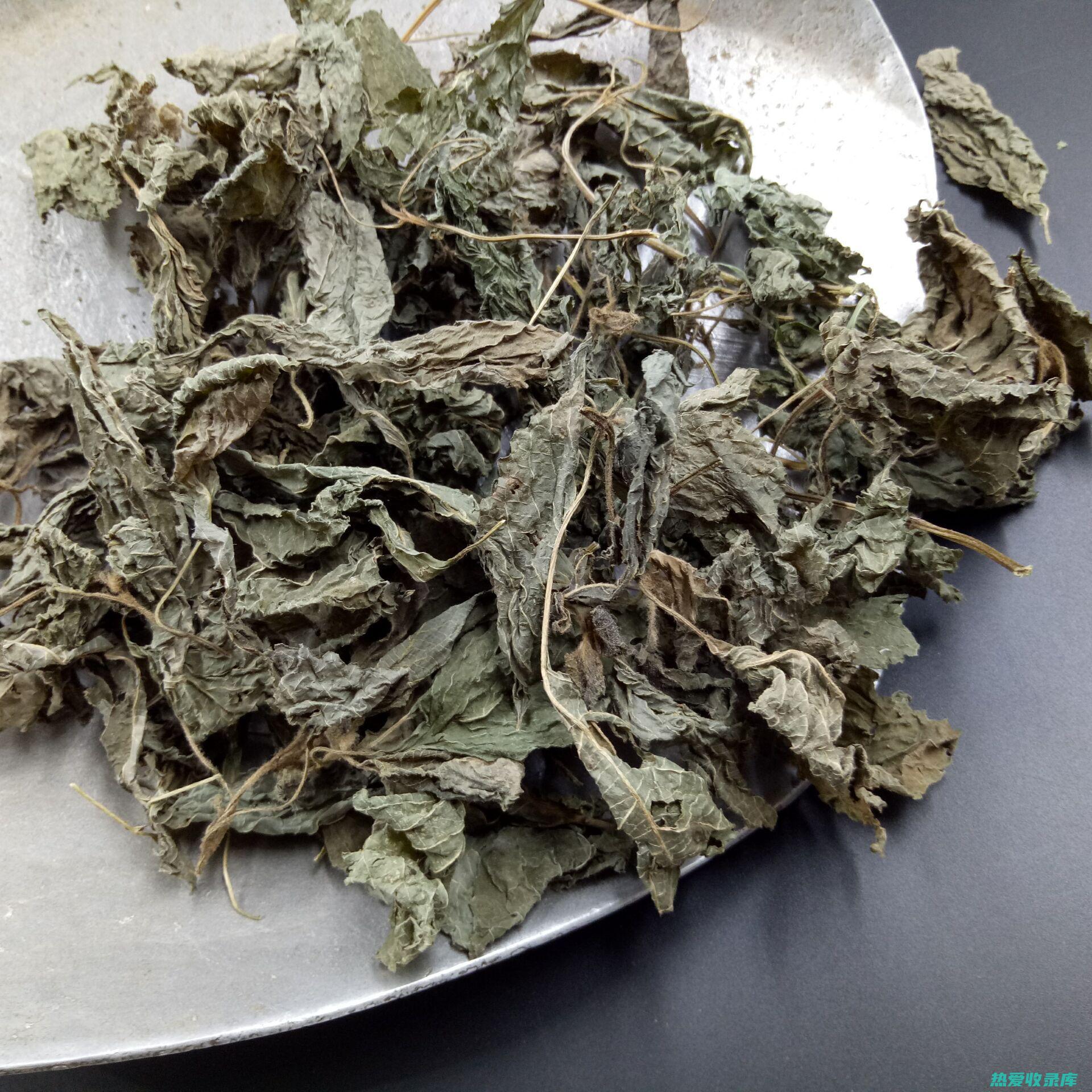 中草药紫苏叶功效 (中草药紫苏叶的作用)