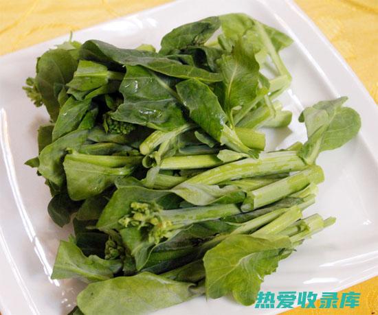 石油菜的功效 (石油菜的功效与图片)