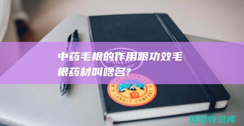 中药毛根的作用跟功效毛根药材叫啥名?