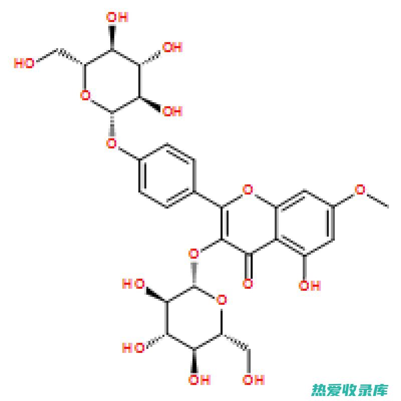 中药沙苑子功效