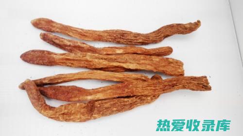 锁阳作用与功效 (锁阳作用与功效与作用是什么)