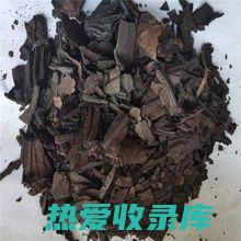 荷叶碳的功效与作用及禁忌