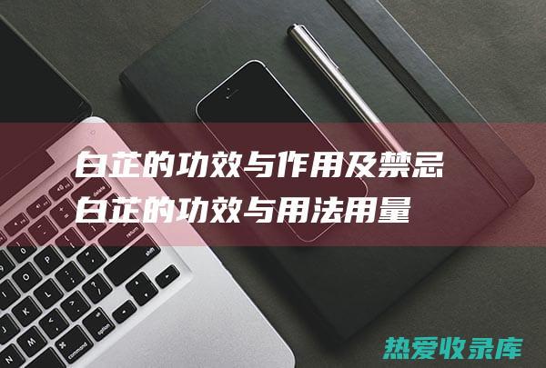 白芷的功效与及禁忌白芷的功效与用法用量