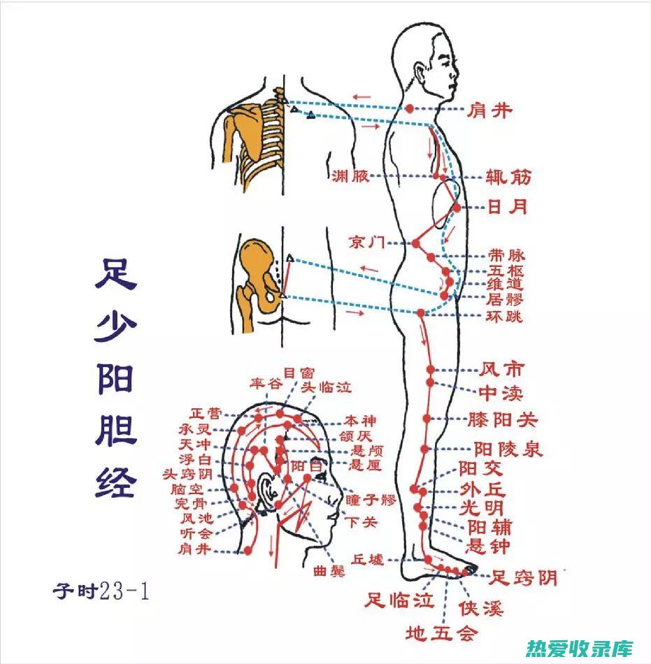 敲打胆经的功效与禁忌