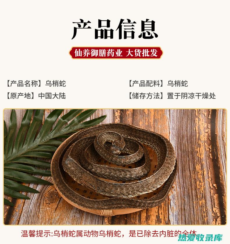 乌梢蛇皮泡酒能喝吗