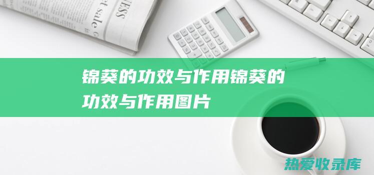 锦葵的功效与作用锦葵的功效与作用图片