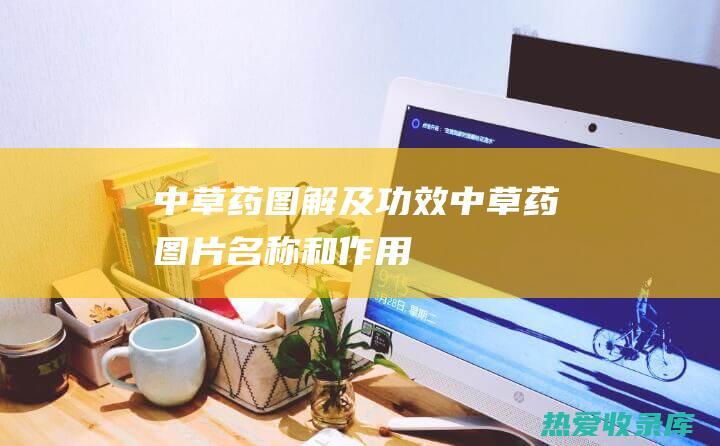 图解及功效图片名称和作用