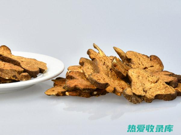 炒仁功效和作用 (炒仁功效和作用是什么)