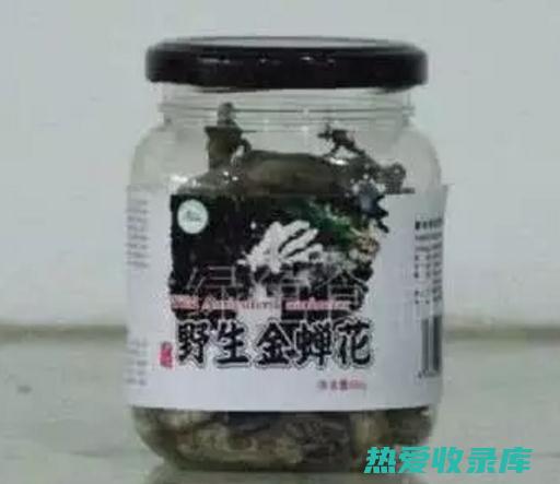 中药蝉脱的功效与作用 (中药蝉脱的功效大全)