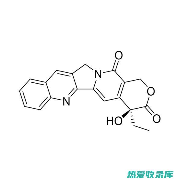 喜树的药理功效 (喜树的药用价值)