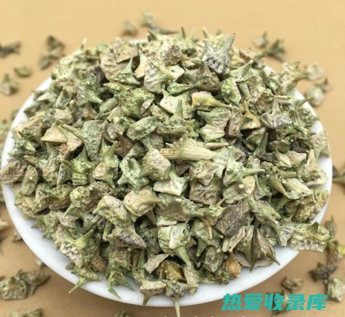 蒺藜秧的功效与作用 (蒺藜秧的功效与作用主要治什么病)