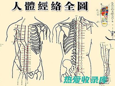 黄帝内经针灸功效句子