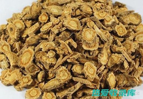 防风炭的功效与作用 (防风炭的功效作用与主治)