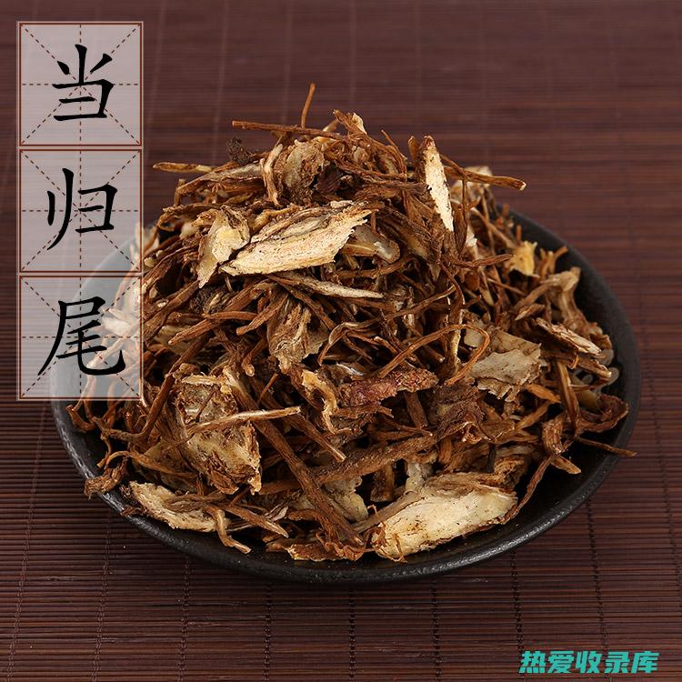 当归尾的作用与功效 (当归尾的作用与功能主治)