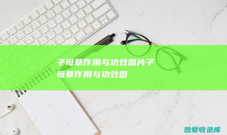 子母草作用与功效图片子母草作用与功效图