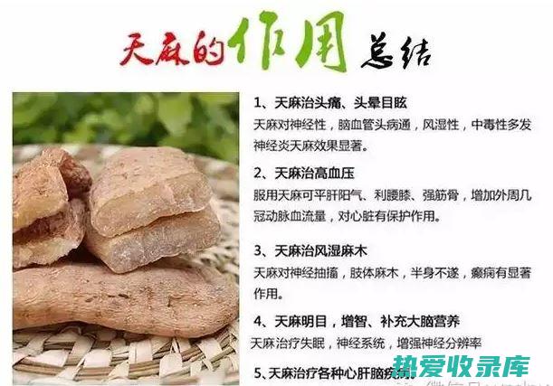 天麻的功效和作用 (天麻的功效和作用主治高血压)