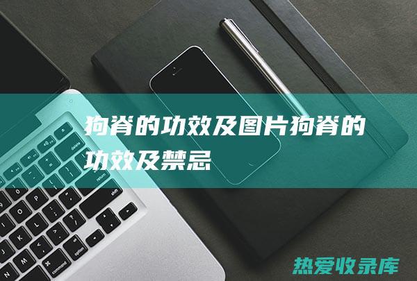 狗脊的功效及图片 (狗脊的功效及禁忌)