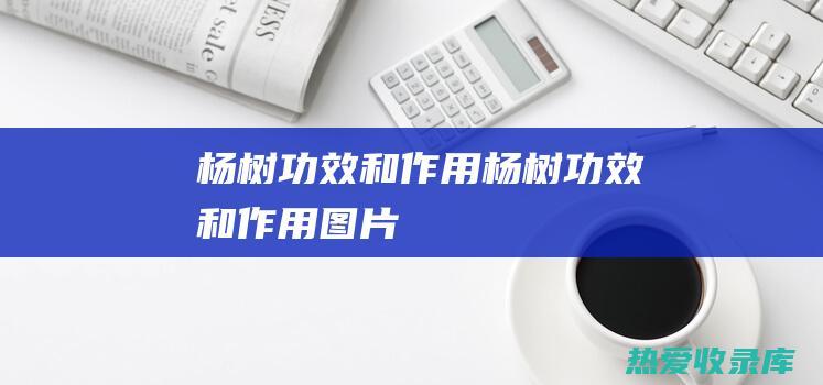 杨树功效和作用 (杨树功效和作用图片)