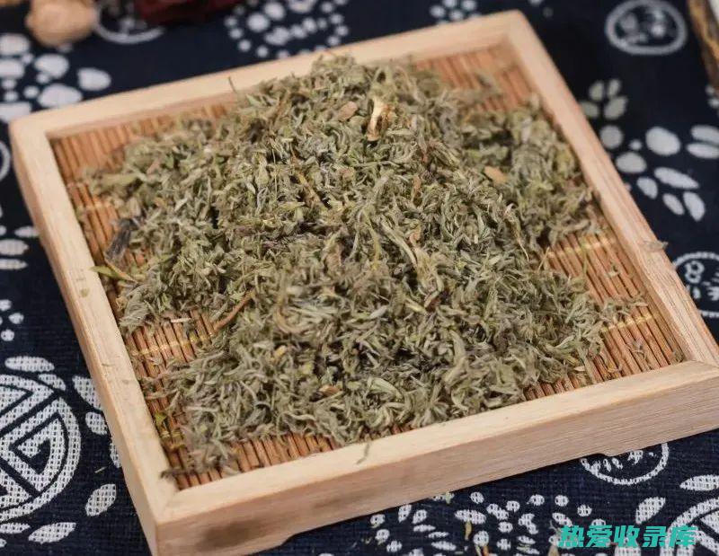 茵陈五苓散的功效 (茵陈五苓散的配方)