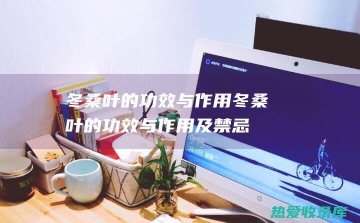 冬桑叶的功效与作用冬桑叶的功效与作用及禁忌