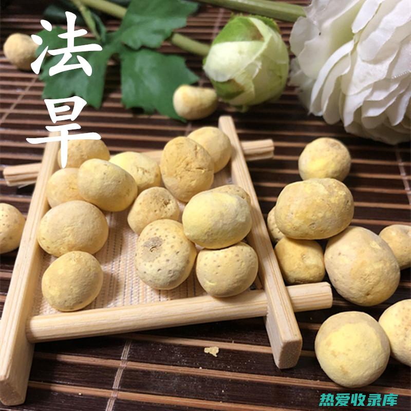 生旱半夏的功效与作用及禁忌