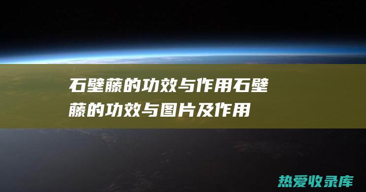 石壁藤的功效与作用石壁藤的功效与图片及作用