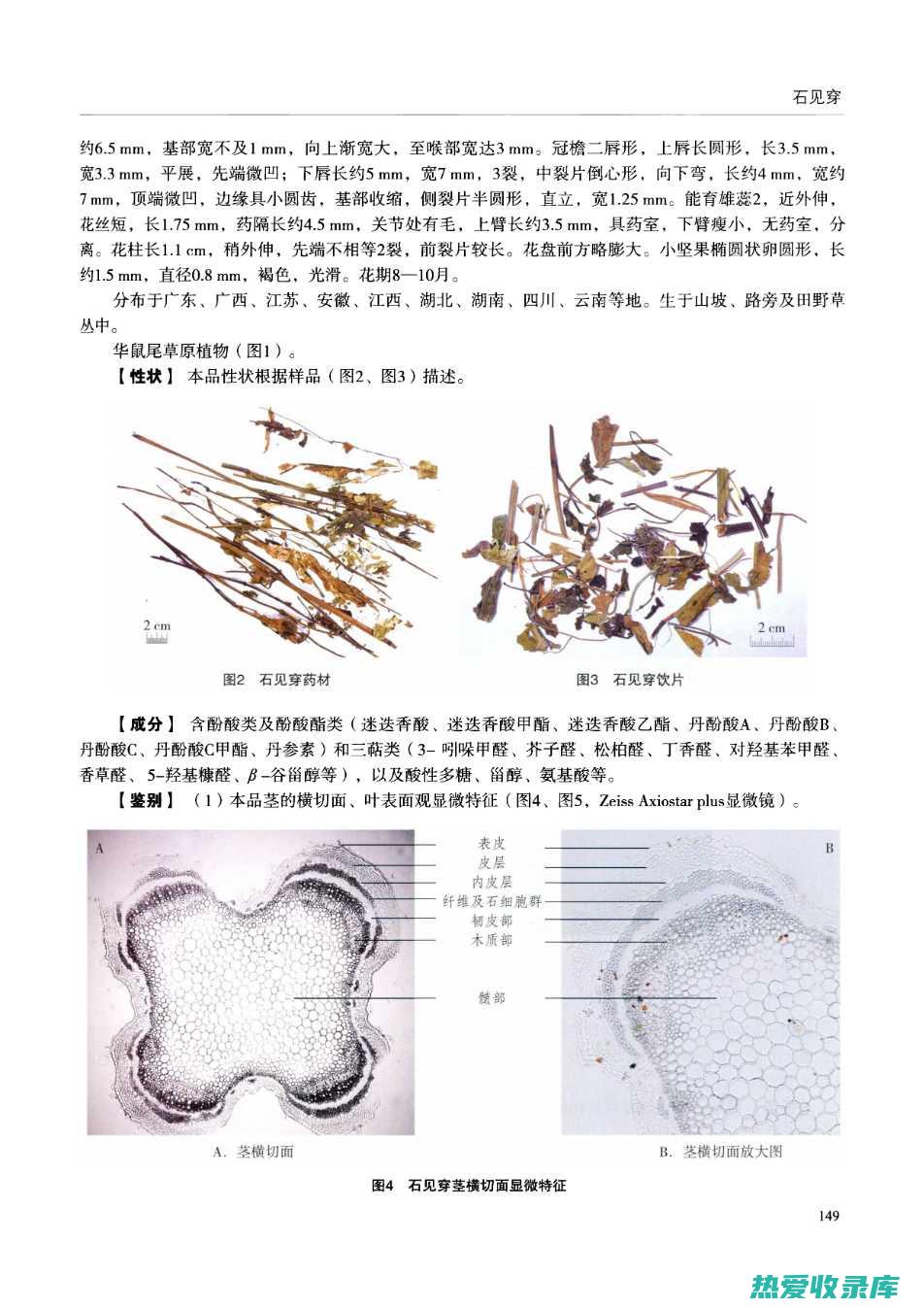 中药石见穿的功效与作用 (中药石见穿的功能与主治)