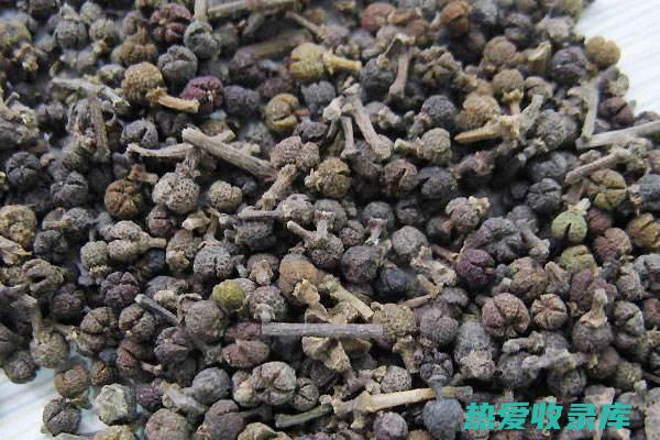 吴茱萸的功效与作用是什么 (吴茱萸的功效作用与主治)