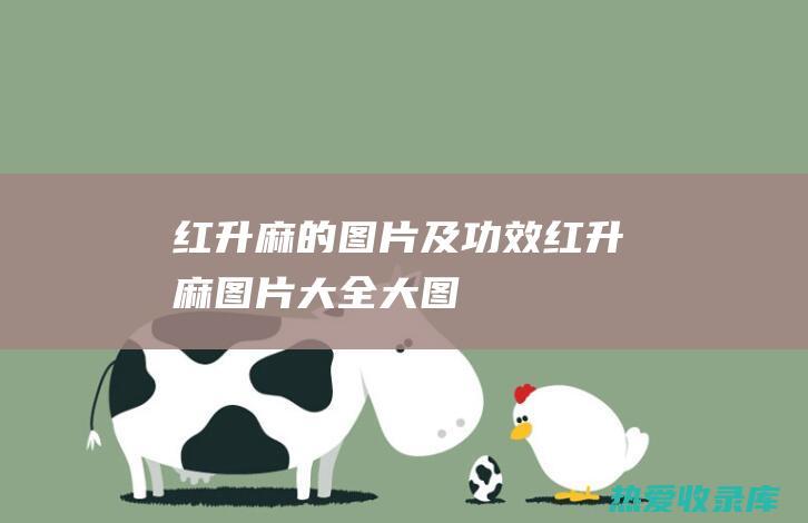 红升麻的图片及功效 (红升麻图片大全大图)