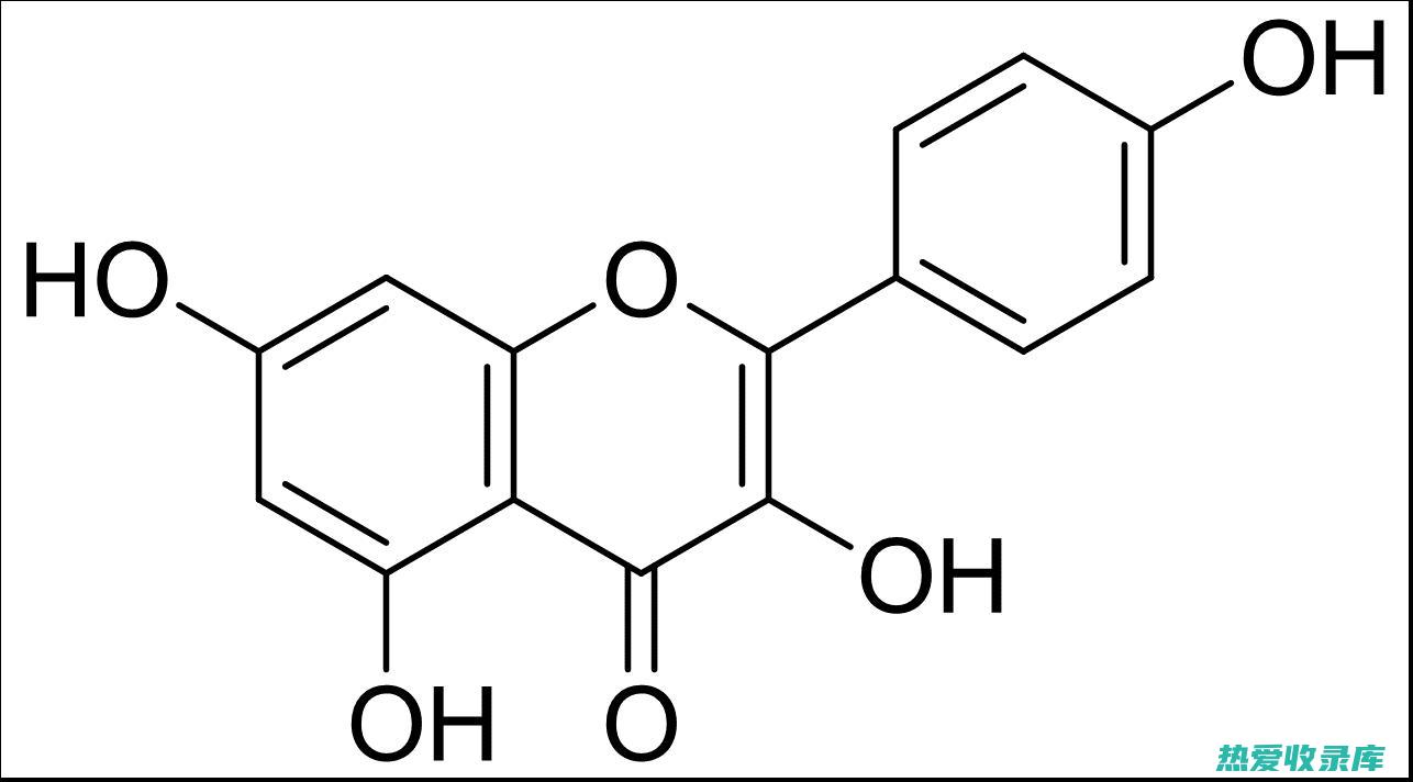 山棕药用价值