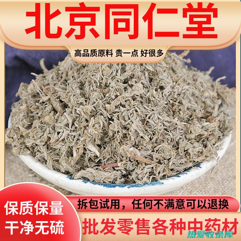 中药茵陈药用量多少克