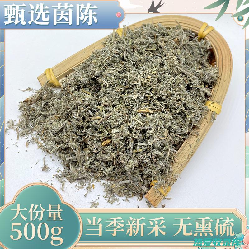 中药茵陈药用功效