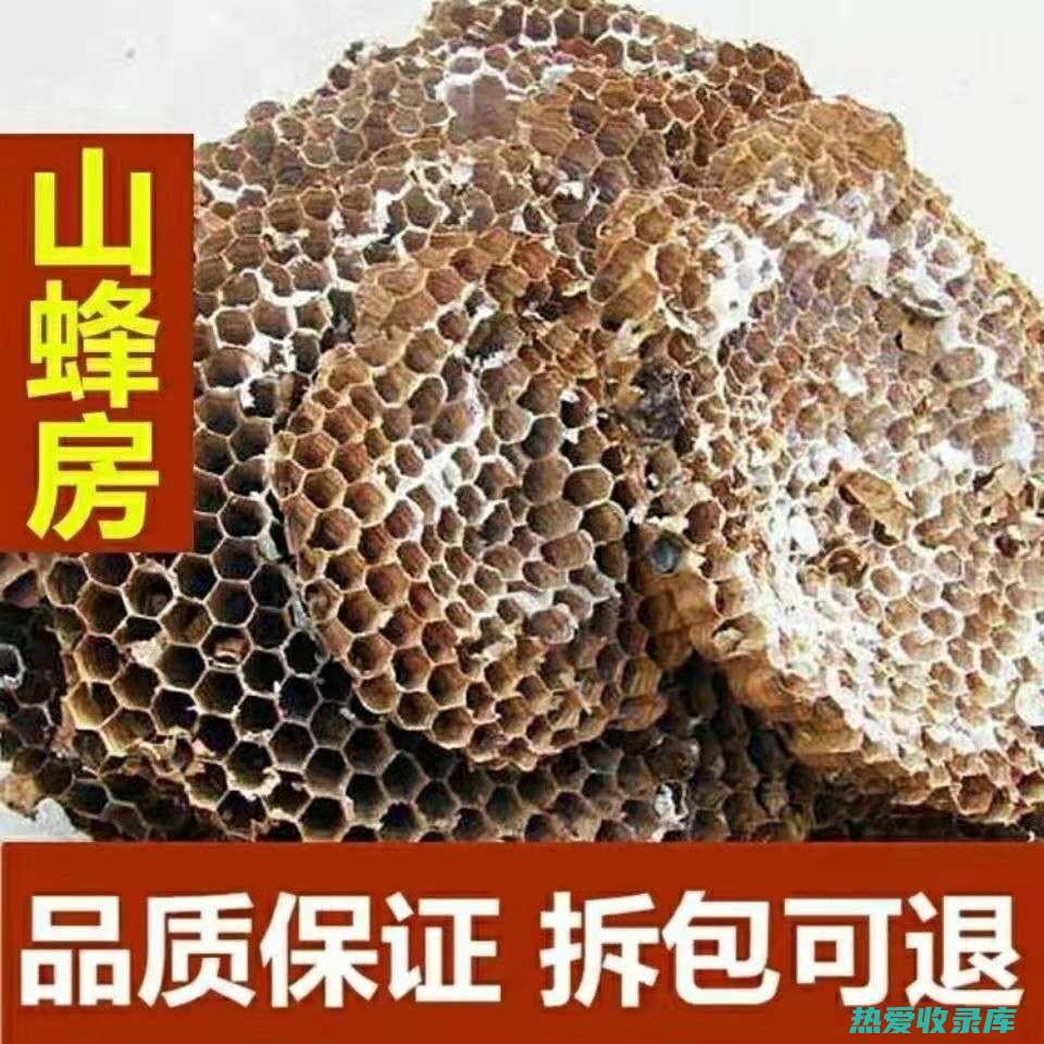 蜂房中药与作用