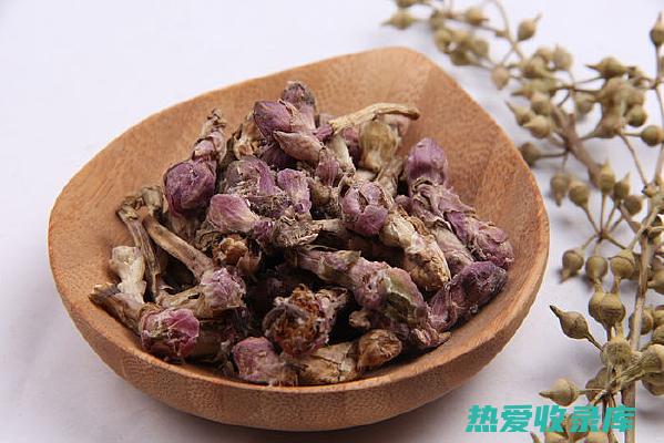 中药款冬花的功效与作用