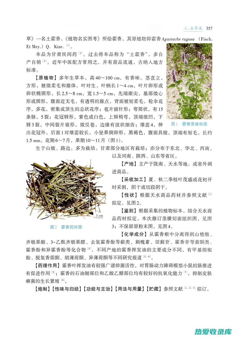 藿香粉的功效与作用