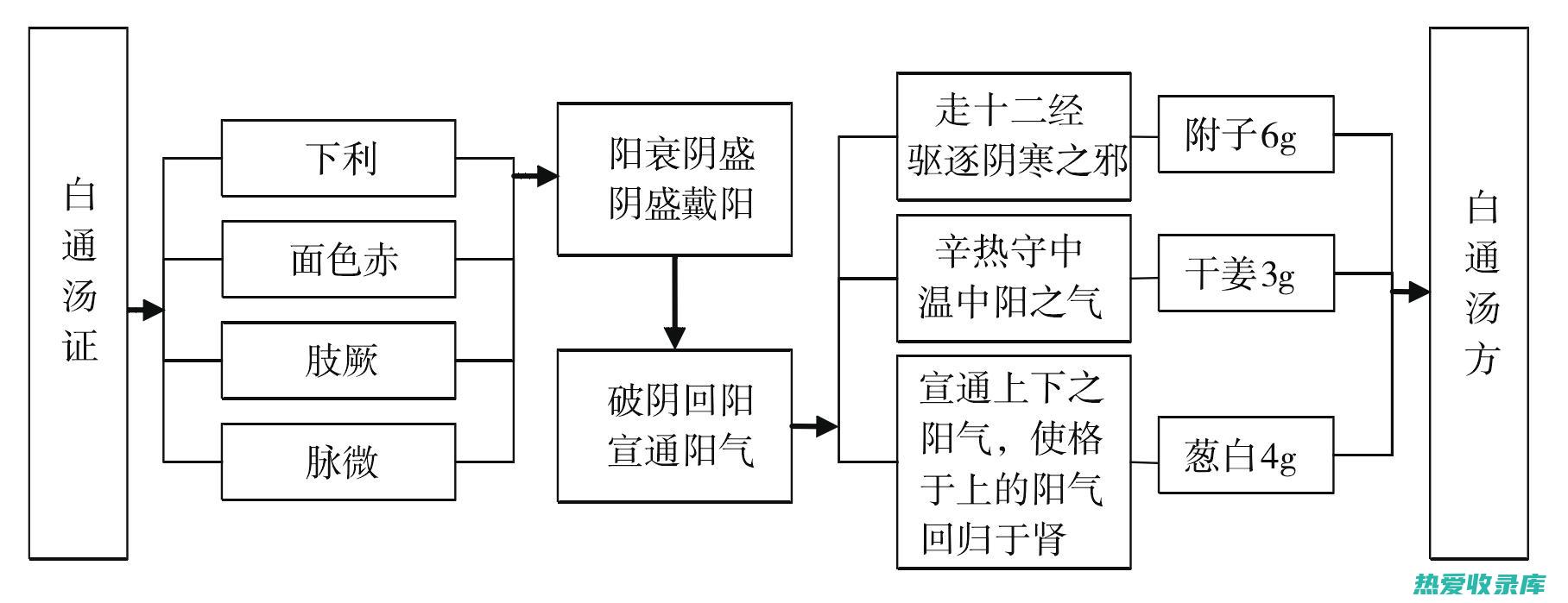 白通汤方剂