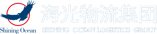 深圳市海光国际物流有限公司