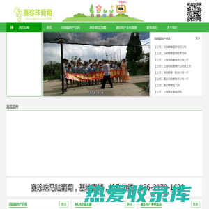 南汇8424西瓜网-南汇8424西瓜网丨南汇8424西瓜采摘价格多少钱一斤丨南汇8424西瓜礼盒