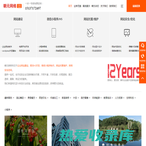 郑州网站建设|网页设计|网站托管维护公司-郑州朝元电子科技有限公司