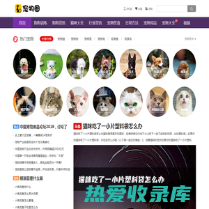 宠物吧 - 专注于宠物猫咪美容护理宠物狗狗训练教程