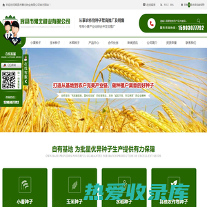河南小麦玉米种子厂家_小麦玉米种子批发_河南水稻种子价格-辉县市豫北种业